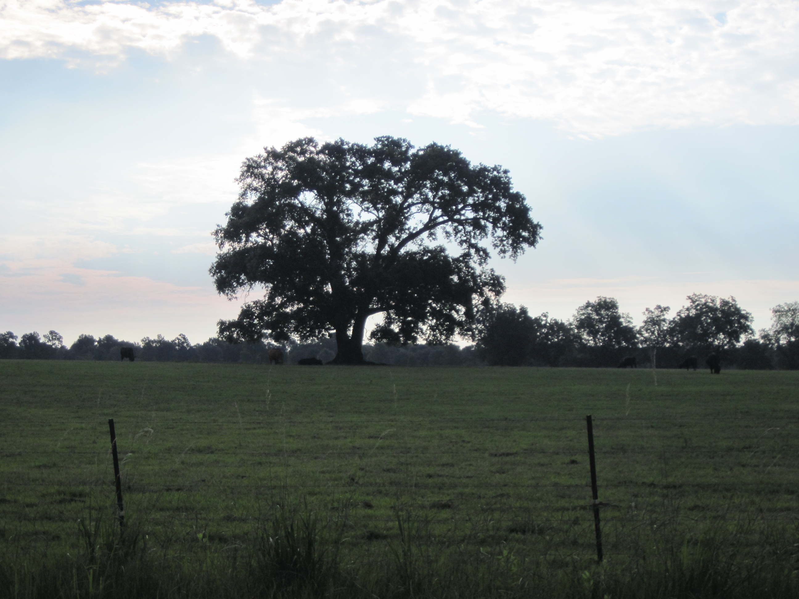 Vancleave (4) Gulf Coast Heritage Realty Mississippi Gulf Coast Area